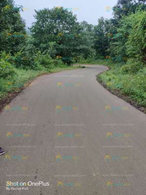 050.jpg